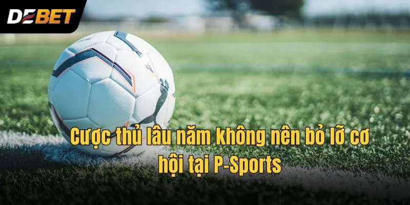 Cược thủ lâu năm không nên bỏ lỡ cơ hội tại P-Sports